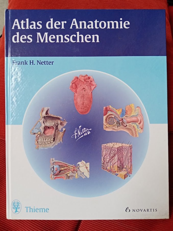 Atlas der Klassischen Archäologie Klassische Archäologie | Franz Steiner Verlag